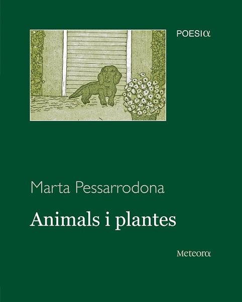 ANIMALS I PLANTES (MITILENE 17) | 9788495623973 | PESSARRODONA, MARTA | Llibreria Aqualata | Comprar llibres en català i castellà online | Comprar llibres Igualada