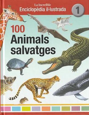 100 ANIMALS SALVATGES | 9788412020786 | MUNS CABOT, MAITE | Llibreria Aqualata | Comprar llibres en català i castellà online | Comprar llibres Igualada