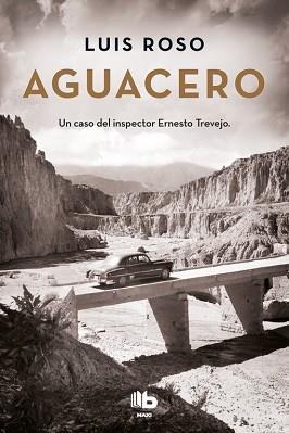 AGUACERO | 9788490704363 | ROSO, LUIS | Llibreria Aqualata | Comprar llibres en català i castellà online | Comprar llibres Igualada