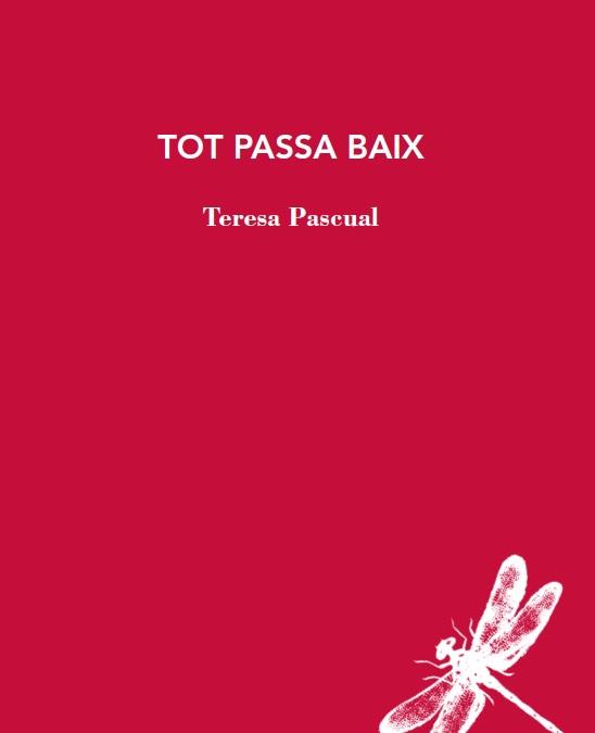 TOT PASSA BAIX | 9788412577426 | PASCUAL, TERESA | Llibreria Aqualata | Comprar llibres en català i castellà online | Comprar llibres Igualada