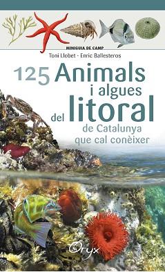 125 ANIMALS I ALGUES DEL LITORAL DE CATALUNYA | 9788490347416 | BALLESTEROS SAGARRA, ENRIC | Llibreria Aqualata | Comprar llibres en català i castellà online | Comprar llibres Igualada
