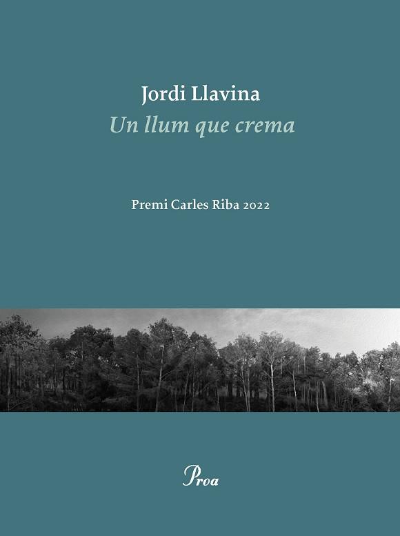 UN LLUM QUE CREMA | 9788475889979 | LLAVINA, JORDI | Llibreria Aqualata | Comprar llibres en català i castellà online | Comprar llibres Igualada