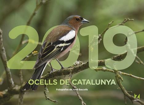 2019 CALENDARI OCELLS DE CATALUNYA | 9788409035465 | BAUCELLS, JORI | Llibreria Aqualata | Comprar llibres en català i castellà online | Comprar llibres Igualada