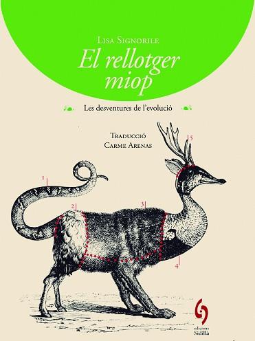 RELLOTGER MIOP, EL | 9788494256424 | SIGNORILE, LISA | Llibreria Aqualata | Comprar llibres en català i castellà online | Comprar llibres Igualada