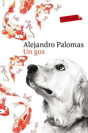 UN GOS | 9788416600625 | PALOMAS, ALEJANDRO  | Llibreria Aqualata | Comprar libros en catalán y castellano online | Comprar libros Igualada