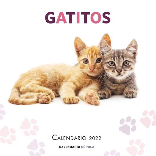 2022 CALENDARIO GATITOS  | 9788448028695 | AA. VV. | Llibreria Aqualata | Comprar llibres en català i castellà online | Comprar llibres Igualada