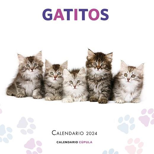 2024 CALENDARIO GATITOS | 9788448038076 | AA. VV. | Llibreria Aqualata | Comprar libros en catalán y castellano online | Comprar libros Igualada