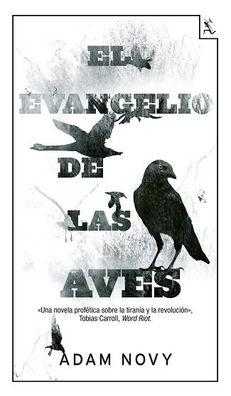 EVANGELIO DE LAS AVES, EL | 9788432210150 | NOVY, ADAM | Llibreria Aqualata | Comprar llibres en català i castellà online | Comprar llibres Igualada