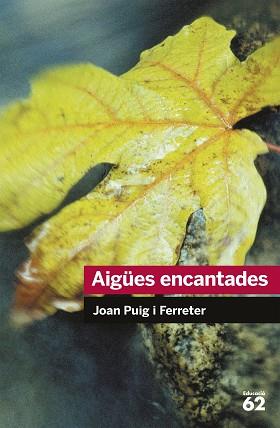 AIGUES ENCANTADES (EDUCAULA 30) | 9788492672431 | PUIG I FERRATER, JOAN | Llibreria Aqualata | Comprar llibres en català i castellà online | Comprar llibres Igualada