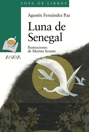 LUNA DE SENEGAL (SOPA DE LIBROS  VERDE 137) | 9788466784306 | FERNANDEZ, AGUSTIN | Llibreria Aqualata | Comprar llibres en català i castellà online | Comprar llibres Igualada