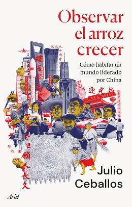 OBSERVAR EL ARROZ CRECER | 9788434436022 | CEBALLOS, JULIO | Llibreria Aqualata | Comprar llibres en català i castellà online | Comprar llibres Igualada