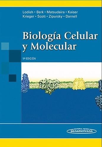 BIOLOGIA CELULAR Y MOLECULAR | 9789500613743 | LODISH | Llibreria Aqualata | Comprar libros en catalán y castellano online | Comprar libros Igualada
