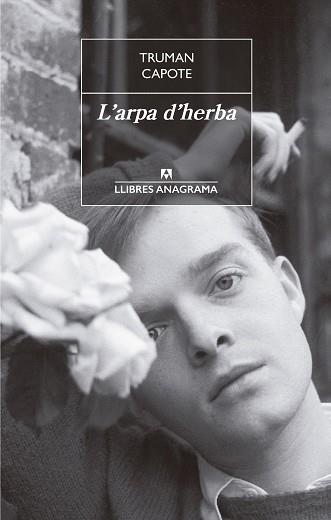 ARPA D'HERBA, L' | 9788433915481 | CAPOTE, TRUMAN | Llibreria Aqualata | Comprar libros en catalán y castellano online | Comprar libros Igualada