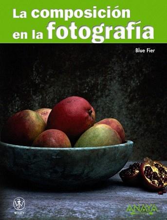 COMPOSICION EN LA FOTOGRAFIA, LA | 9788441526983 | FIER, BLUE | Llibreria Aqualata | Comprar llibres en català i castellà online | Comprar llibres Igualada