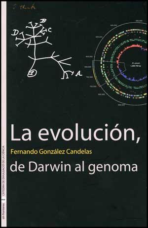 EVOLUCION DE DARWIN AL GENOMA, LA | 9788437075464 | GONZALEZ CANDELAS, FERNANDO | Llibreria Aqualata | Comprar llibres en català i castellà online | Comprar llibres Igualada