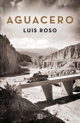 AGUACERO | 9788466659215 | ROSO, LUIS | Llibreria Aqualata | Comprar llibres en català i castellà online | Comprar llibres Igualada