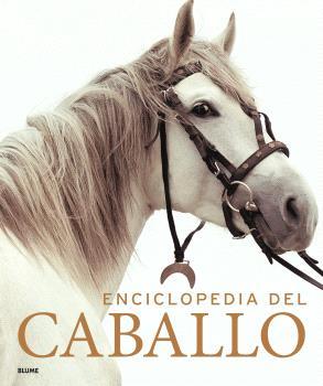 ENCICLOPEDIA DEL CABALLO (2023) | 9788419785749 | VARIOS AUTORES | Llibreria Aqualata | Comprar llibres en català i castellà online | Comprar llibres Igualada