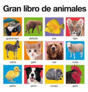 GRAN LIBRO DE ANIMALES | 9788424641481 | PRIDDY, ROGER | Llibreria Aqualata | Comprar libros en catalán y castellano online | Comprar libros Igualada