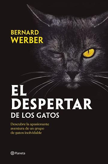 DESPERTAR DE LOS GATOS, EL | 9788408251835 | WERBER, BERNARD | Llibreria Aqualata | Comprar llibres en català i castellà online | Comprar llibres Igualada