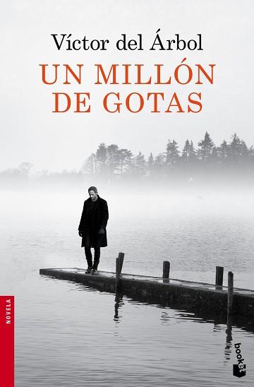 UN MILLÓN DE GOTAS | 9788423349418 | DEL ÁRBOL, VÍCTOR  | Llibreria Aqualata | Comprar libros en catalán y castellano online | Comprar libros Igualada