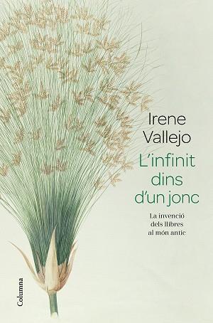 INFINIT DINS D'UN JONC, L' | 9788466426947 | VALLEJO, IRENE | Llibreria Aqualata | Comprar llibres en català i castellà online | Comprar llibres Igualada