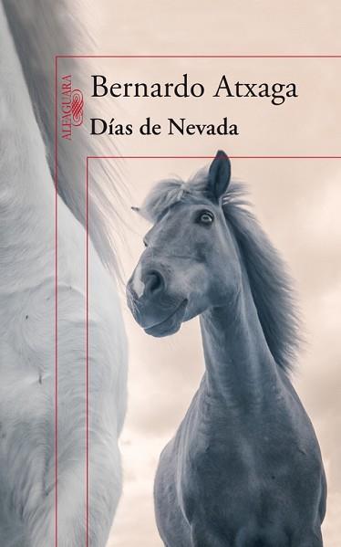 DÍAS DE NEVADA | 9788420415987 | ATXAGA, BERNARDO | Llibreria Aqualata | Comprar llibres en català i castellà online | Comprar llibres Igualada