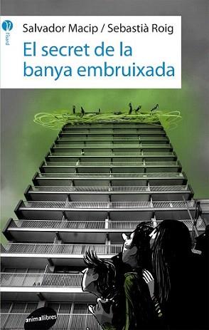 SECRET DE LA BANYA EMBRUIXADA, EL | 9788415975434 | MACIP, SALVADOR / ROIG, SEBASTIÀ | Llibreria Aqualata | Comprar llibres en català i castellà online | Comprar llibres Igualada