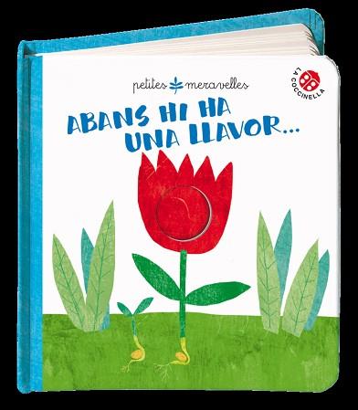 ABANS HI HA UNA LLAVOR  | 9788855060325 | Llibreria Aqualata | Comprar llibres en català i castellà online | Comprar llibres Igualada