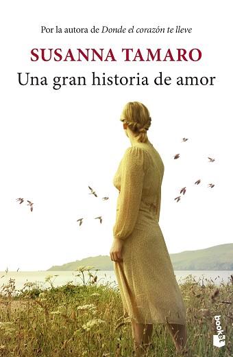 UNA GRAN HISTORIA DE AMOR | 9788432242618 | TAMARO, SUSANNA | Llibreria Aqualata | Comprar llibres en català i castellà online | Comprar llibres Igualada