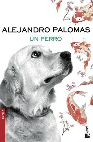 UN PERRO | 9788423351862 | PALOMAS, ALEJANDRO | Llibreria Aqualata | Comprar llibres en català i castellà online | Comprar llibres Igualada