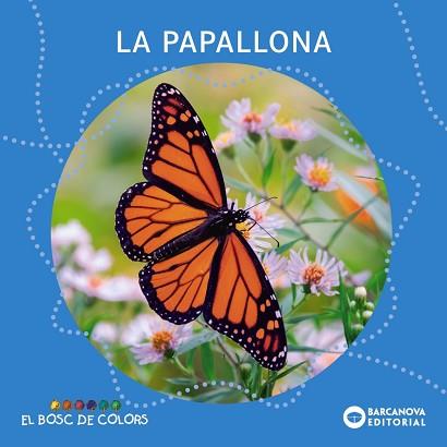 PAPALLONA, LA | 9788448952846 | BALDÓ, ESTEL / GIL, ROSA / SOLIVA, MARIA | Llibreria Aqualata | Comprar llibres en català i castellà online | Comprar llibres Igualada