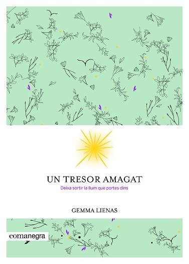 UN TRESOR AMAGAT | 9788416605347 | LIENAS MASSOT, GEMMA | Llibreria Aqualata | Comprar llibres en català i castellà online | Comprar llibres Igualada