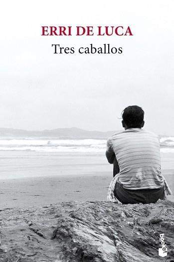TRES CABALLOS | 9788432236921 | DE LUCA, ERRI | Llibreria Aqualata | Comprar llibres en català i castellà online | Comprar llibres Igualada
