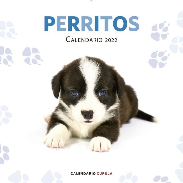 2022 CALENDARIO PERRITOS  | 9788448028701 | AA. VV. | Llibreria Aqualata | Comprar llibres en català i castellà online | Comprar llibres Igualada