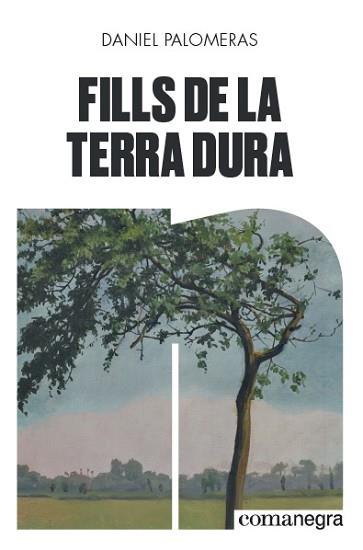 FILLS DE LA TERRA DURA | 9788418022296 | PALOMERAS CASADEJÚS, DANIEL | Llibreria Aqualata | Comprar llibres en català i castellà online | Comprar llibres Igualada