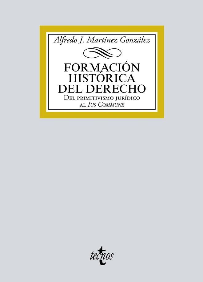 FORMACIÓN HISTÓRICA DEL DERECHO | 9788430978410 | MARTÍNEZ GONZÁLEZ, ALFREDO JOSÉ | Llibreria Aqualata | Comprar llibres en català i castellà online | Comprar llibres Igualada