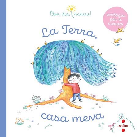 TERRA, CASA MEVA | 9788466149006 | FLEURUS, GROUPE | Llibreria Aqualata | Comprar llibres en català i castellà online | Comprar llibres Igualada