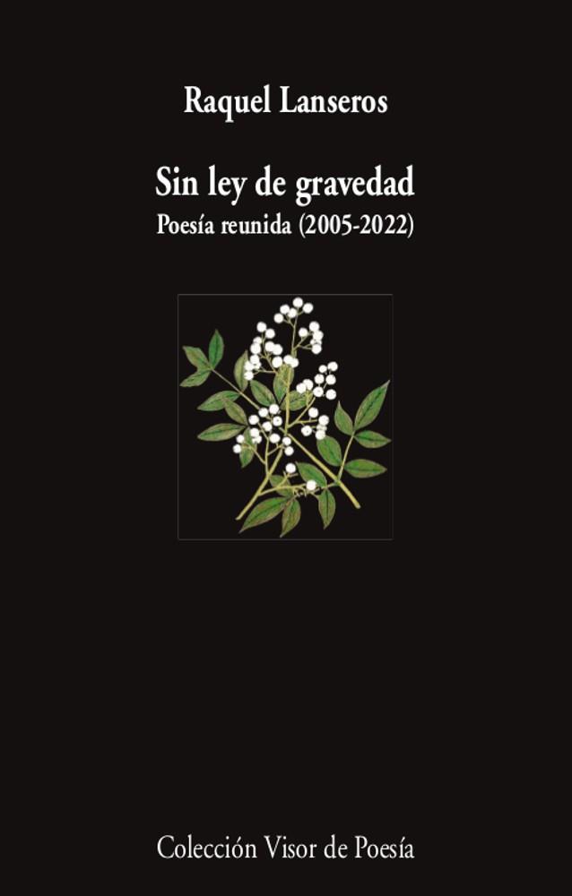 SIN LEY DE GRAVEDAD | 9788498954654 | LANSEROS, RAQUEL | Llibreria Aqualata | Comprar llibres en català i castellà online | Comprar llibres Igualada