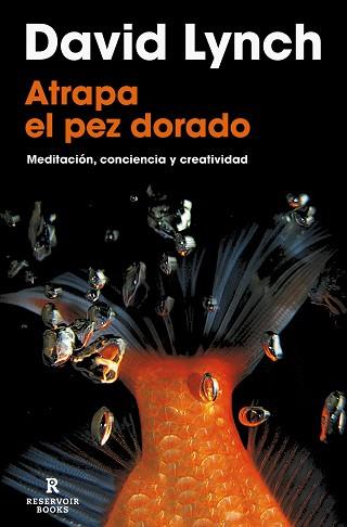 ATRAPA EL PEZ DORADO | 9788418897436 | LYNCH, DAVID | Llibreria Aqualata | Comprar llibres en català i castellà online | Comprar llibres Igualada