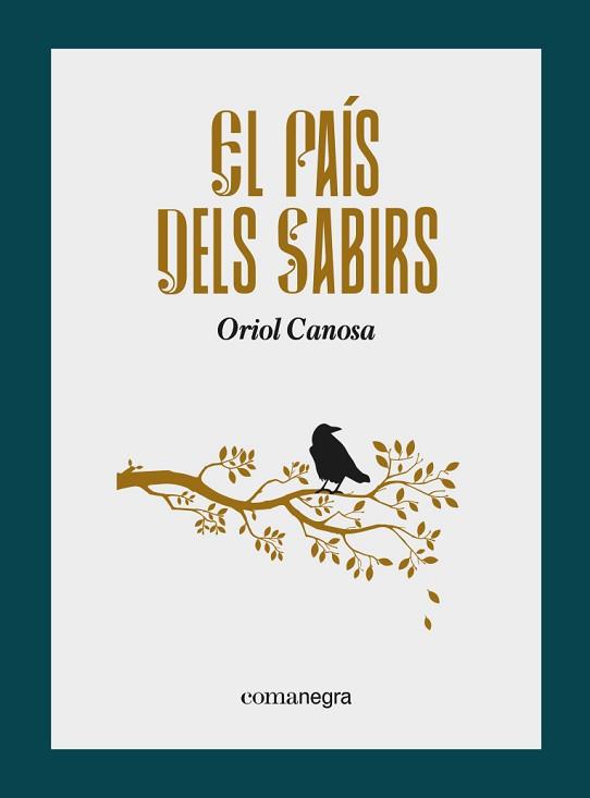 PAÍS DELS SABIRS, EL | 9788418857799 | CANOSA, ORIOL | Llibreria Aqualata | Comprar llibres en català i castellà online | Comprar llibres Igualada