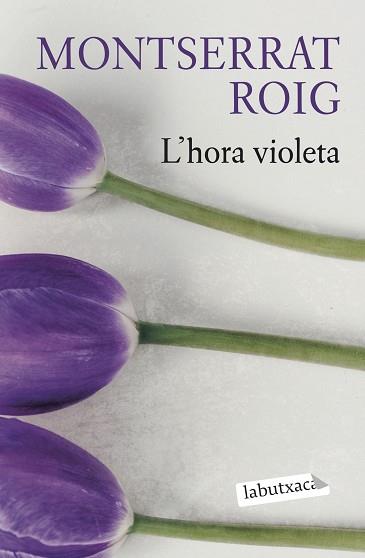 HORA VIOLETA, L' | 9788419107503 | ROIG, MONTSERRAT | Llibreria Aqualata | Comprar llibres en català i castellà online | Comprar llibres Igualada