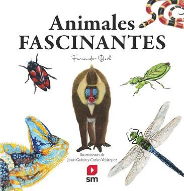 ANIMALES FASCINANTES | 9788413922188 | BORT MISOL, FERNANDO | Llibreria Aqualata | Comprar llibres en català i castellà online | Comprar llibres Igualada