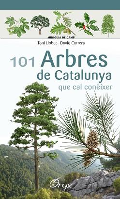 101 ARBRES DE CATALUNYA | 9788490346778 | LLOBET FRANÇOIS, TONI / CARRERA BONET, DAVID | Llibreria Aqualata | Comprar llibres en català i castellà online | Comprar llibres Igualada