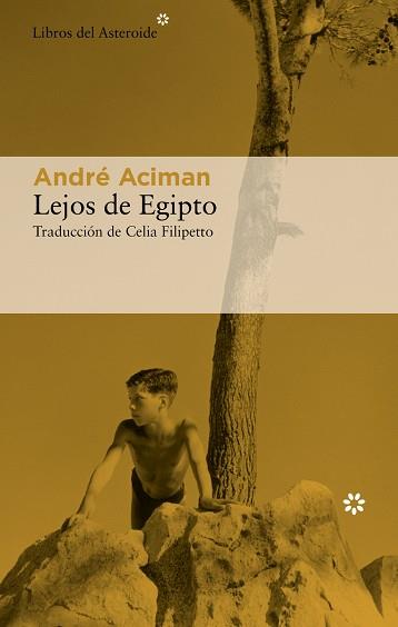LEJOS DE EGIPTO | 9788417977757 | ACIMAN, ANDRÉ | Llibreria Aqualata | Comprar llibres en català i castellà online | Comprar llibres Igualada