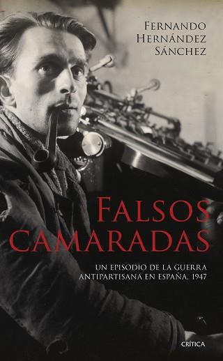 FALSOS CAMARADAS | 9788491995739 | HERNÁNDEZ SÁNCHEZ, FERNANDO | Llibreria Aqualata | Comprar llibres en català i castellà online | Comprar llibres Igualada