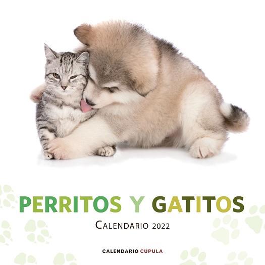 2022 CALENDARIO PERRITOS Y GATITOS  | 9788448028718 | AA. VV. | Llibreria Aqualata | Comprar llibres en català i castellà online | Comprar llibres Igualada