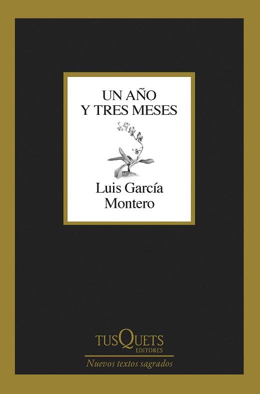 UN AÑO Y TRES MESES | 9788411071475 | GARCÍA MONTERO, LUIS | Llibreria Aqualata | Comprar llibres en català i castellà online | Comprar llibres Igualada