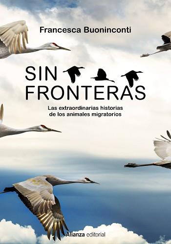 SIN FRONTERAS | 9788413625300 | BUONINCONTI, FRANCESCA | Llibreria Aqualata | Comprar llibres en català i castellà online | Comprar llibres Igualada
