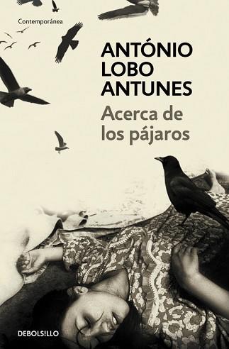 ACERCA DE LOS PAJAROS (CONTEMPORANEA) | 9788483469163 | LOBO ANTUNES, ANTONIO | Llibreria Aqualata | Comprar llibres en català i castellà online | Comprar llibres Igualada