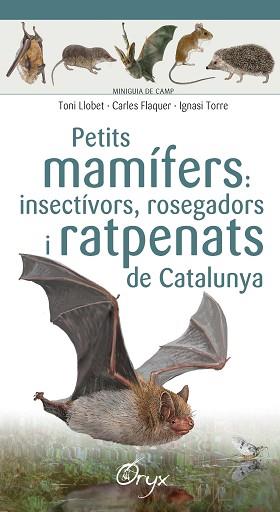 PETITS MAMÍFERS: INSECTÍVORS, ROSEGADORS I RATPENATS DE CATALUNYA | 9788490348956 | LLOBET FRANÇOIS , TONI / FLAQUER, CARLES / TORRE, IGNASI | Llibreria Aqualata | Comprar llibres en català i castellà online | Comprar llibres Igualada